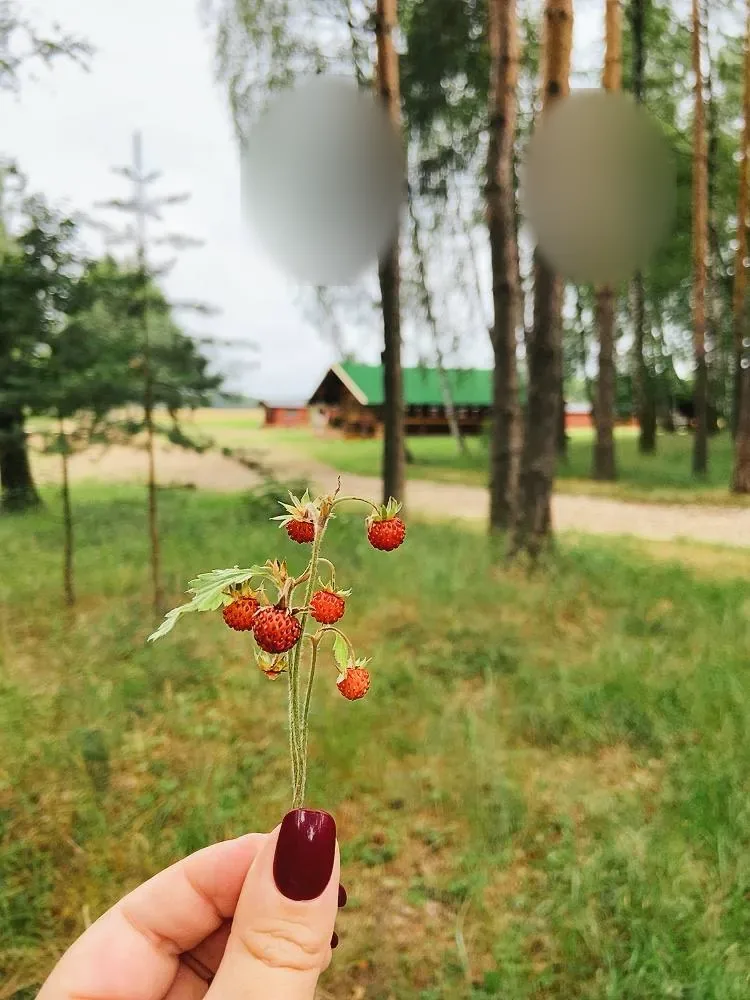 Праздник на ферме Пешково