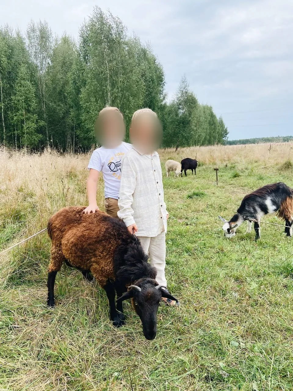 Баня «Душа печи» — правила